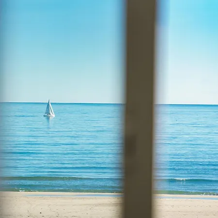 O Sable Fin - Front De 카네트